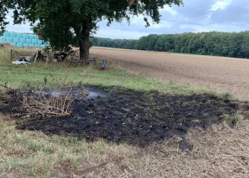 Flächenbrand