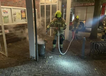 Einsatz Mülltonnenbrand