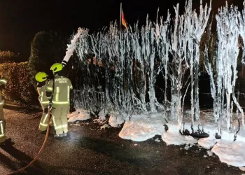 Einsatz Heckenbrand