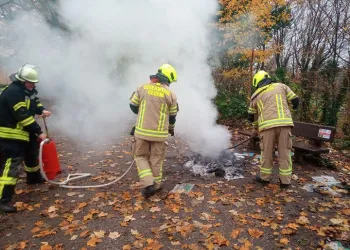 Mülltonnenbrand