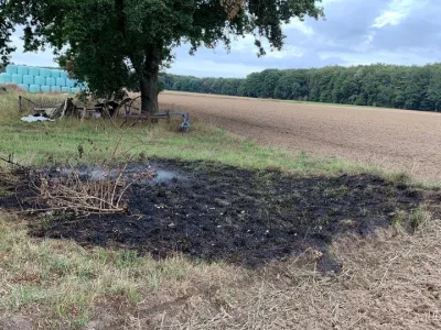 Flächenbrand